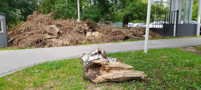 Непогода неблагоприятна для городского парка