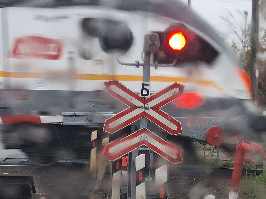 Семь человек погибло на железной дороге в Истринском округе в 2025 году