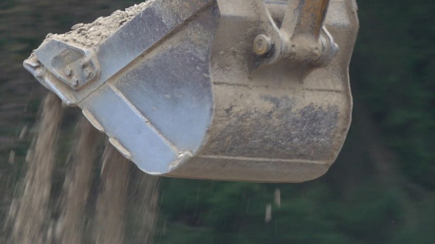 Устроители лесопарка в Лечищево вырубят 2177 деревьев