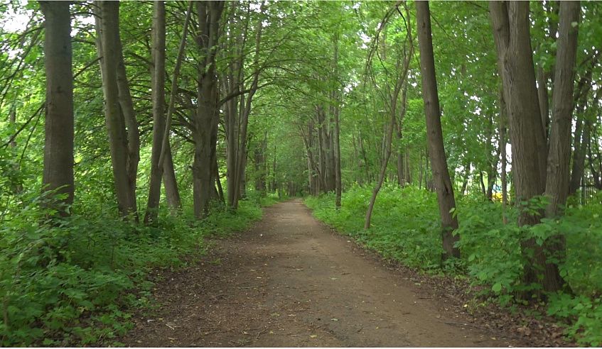 Пешеходная дорожка к монастырю в Истринском парке снова осталась без ремонта