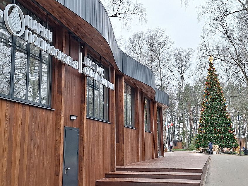 16-метровую ель установили в лесопарке «Соколиная гора»