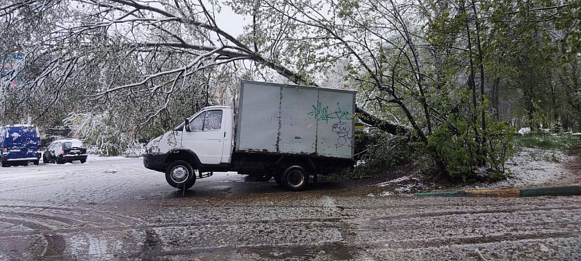 Татьяна Витушева сообщила, что на данный момент убрано 35 из 50 упавших на дороги деревьев.