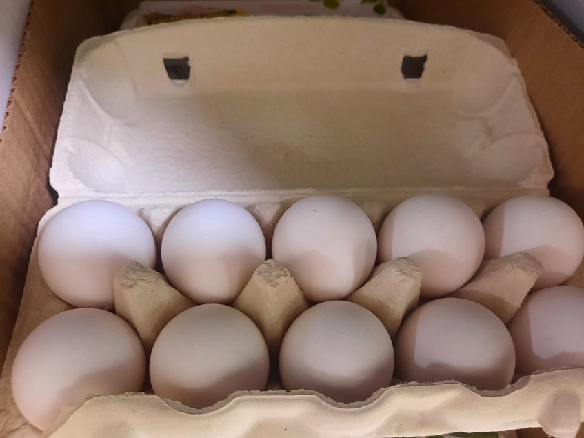 Росптицесоюз заявил о снижении цен на яйца. Дефицита к Пасхе не будет 