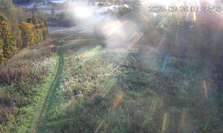 Под Истрой зафиксировали ночной минимум