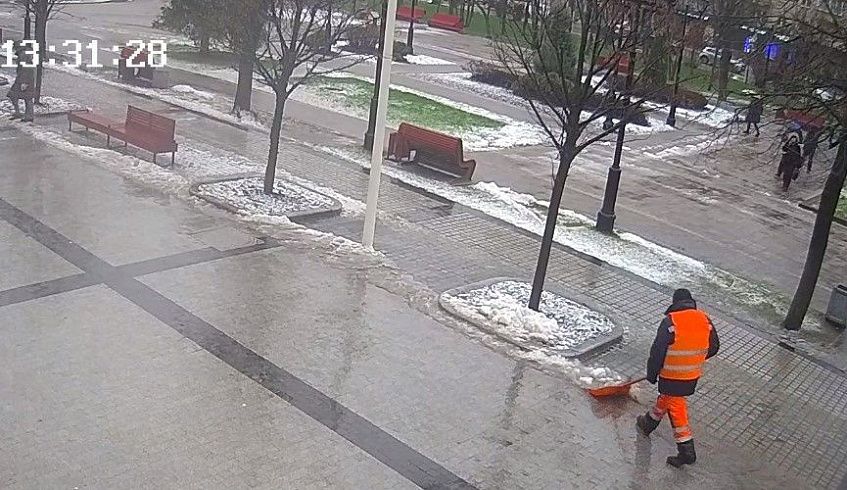 В Истре дворники закидывают снег с реагентами под молодые деревья