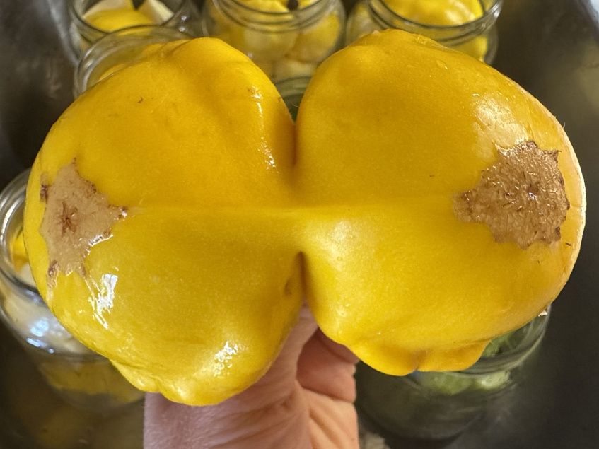 Конкурс «Чудеса урожая-2025» — покажите, что выросло!