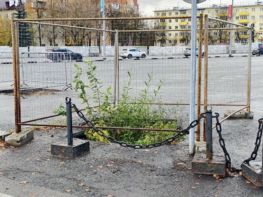 Уникальную клумбу разбили у здания администрации Истры