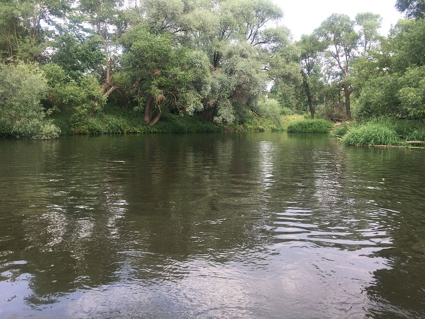 Учёные обследуют Истру 