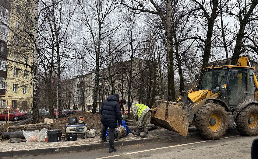 Жители улицы Комарова в Дедовске погрязли в болоте