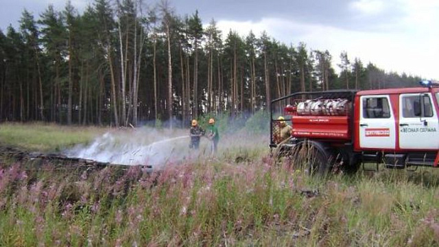 В лесах Московской области открыт пожароопасный сезон 2019