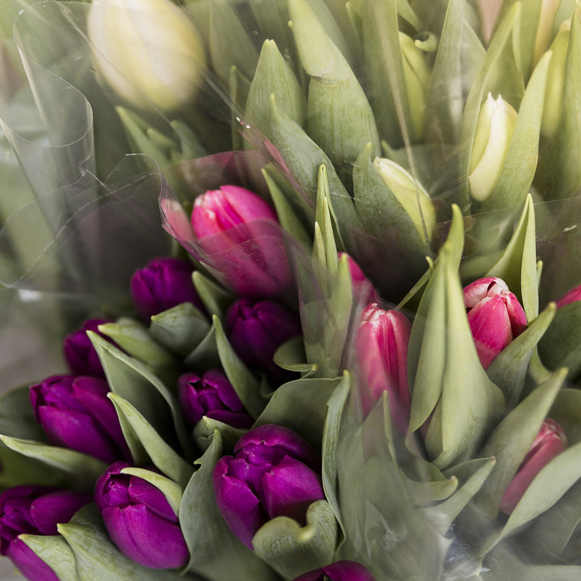 Цена за один цветок к 8 марта начинается от 60 рублей