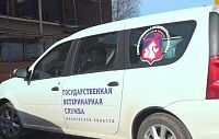 Бесплатная вакцинация от бешенства: как прошёл выезд в Вельяминово