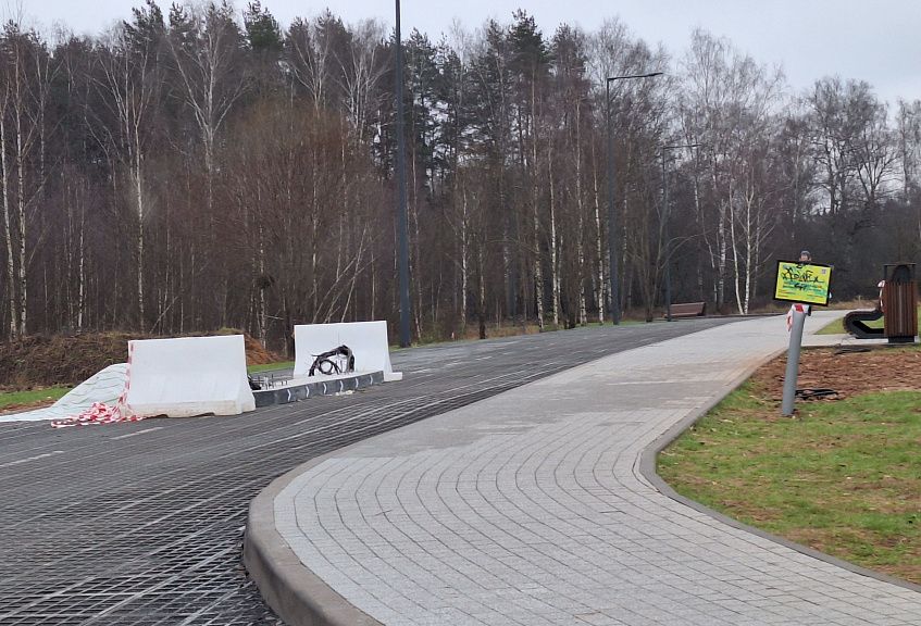 Проезд на парковку к лесопарку Соколиная Гора станет платным