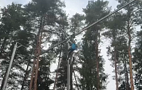Скоростной спуск по тросу запустят в «Шишкином лесу» следующим летом