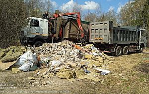 Подмосковье выделило округам почти 190 млн руб на уборку мусора в лесах
