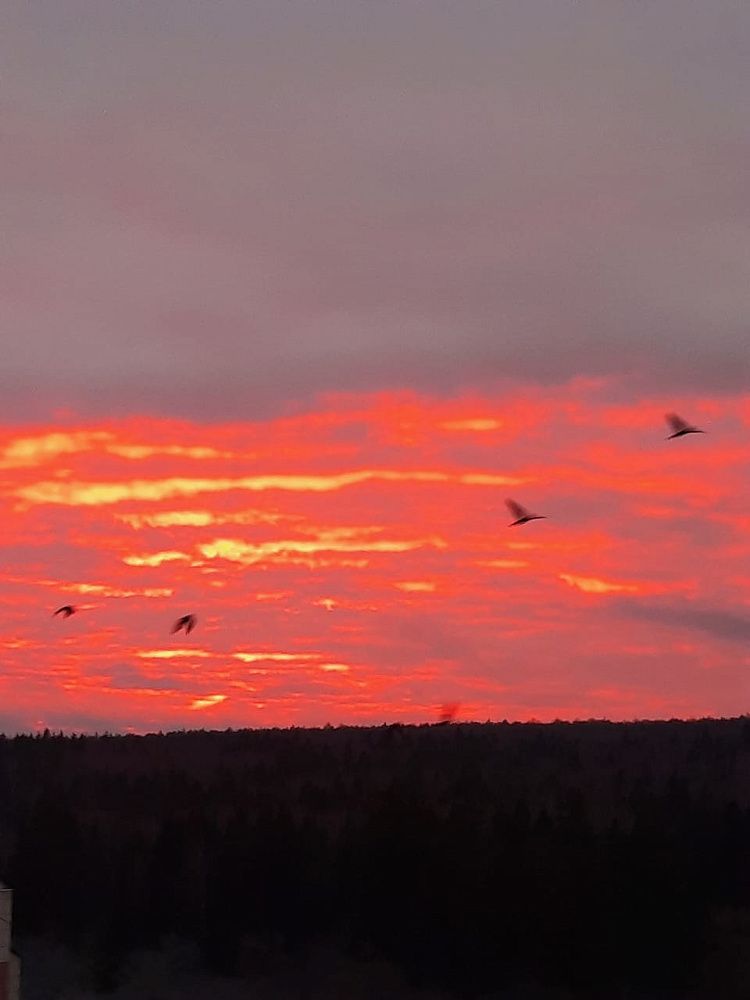 Самая мощная за последние два месяца магнитная буря накроет Землю 8 августа