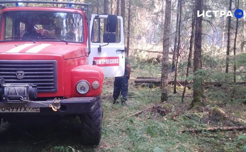 В Истринском лесничестве вновь зафиксировали пожар