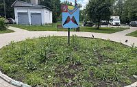 Клумба в Снегирях останется без цветов до конца июля