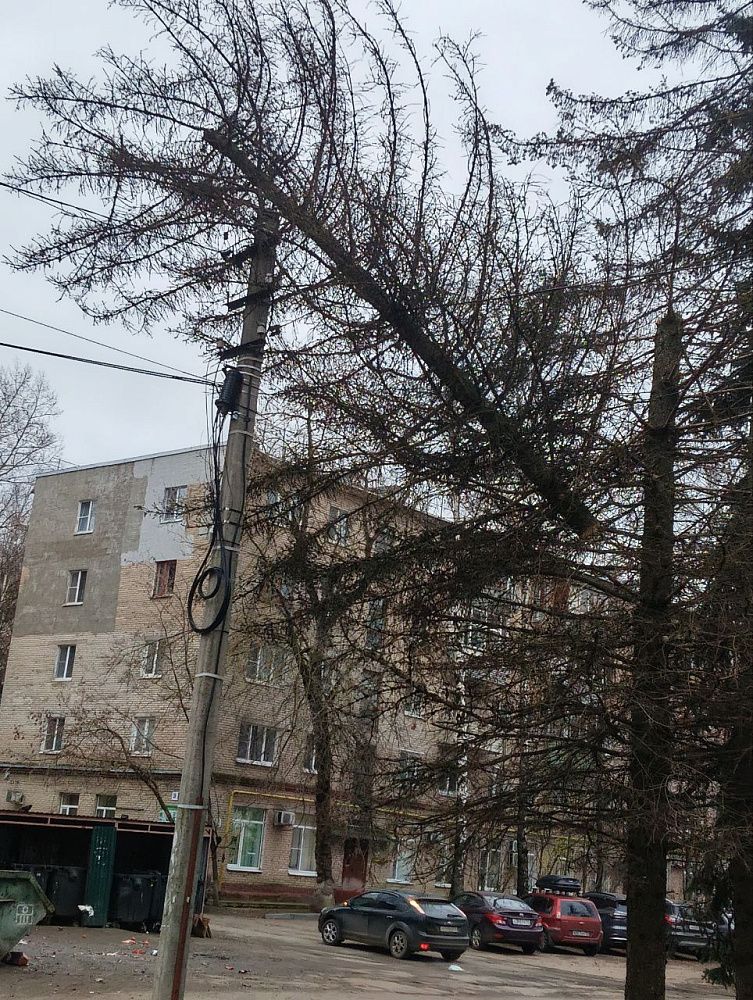 На улице Ударной в Дедовске дерево упало на провода