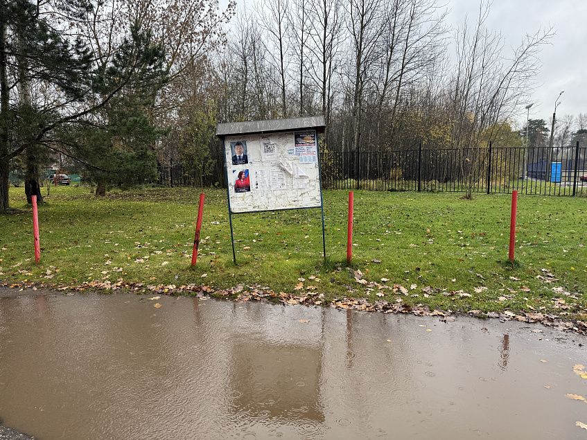 Чиновники в Снегирях сели в лужу