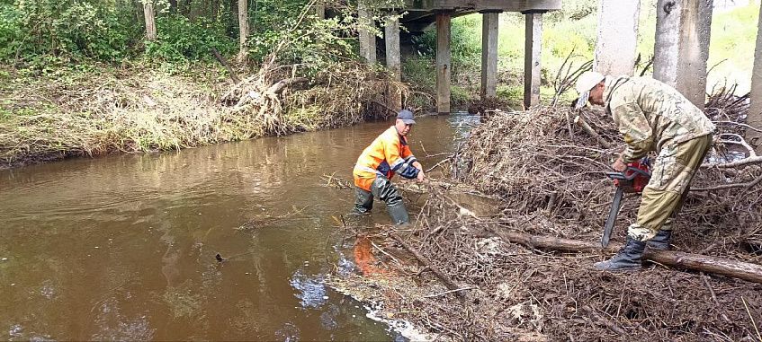 В Леоново расчистили Малую Истру