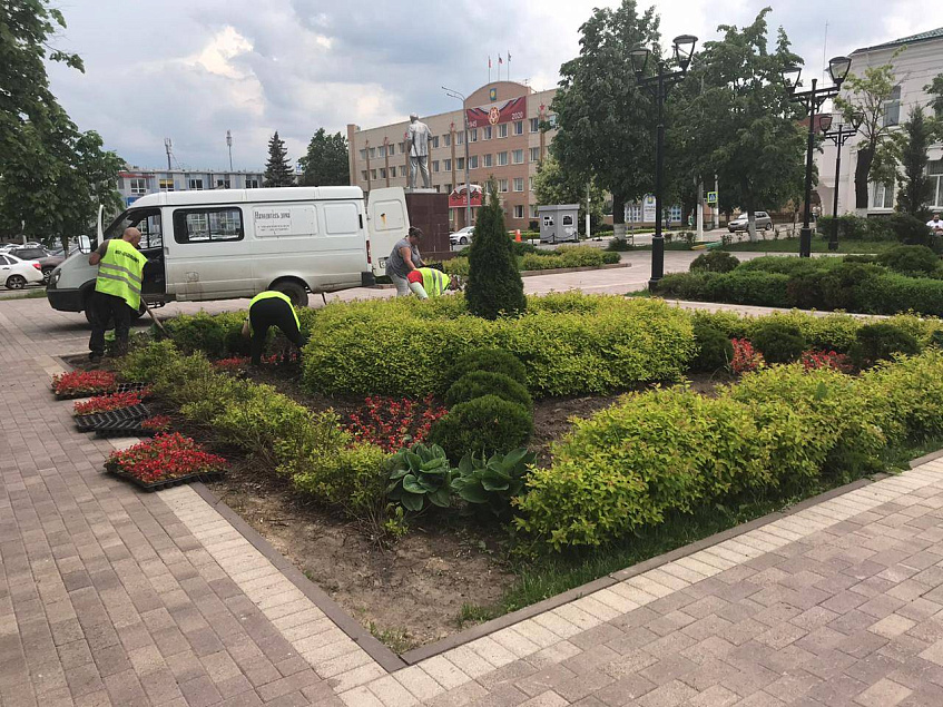 Ждём посадки: городской округ украсят цветами на шесть миллионов рублей