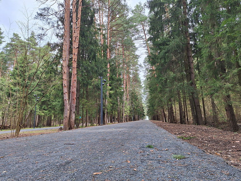 Деревянные тротуары и настилы оборудуют в лесопарке Павловской Слободы