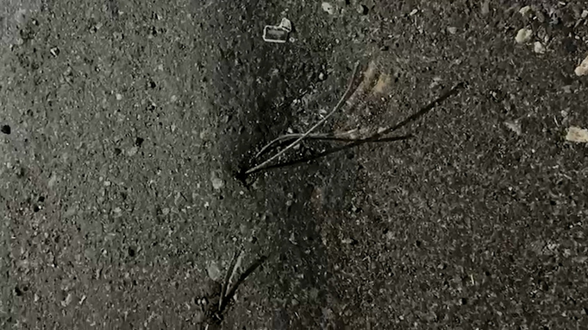 Ремонт «на ход ноги»: как сделать дорогу экстремальным аттракционом 