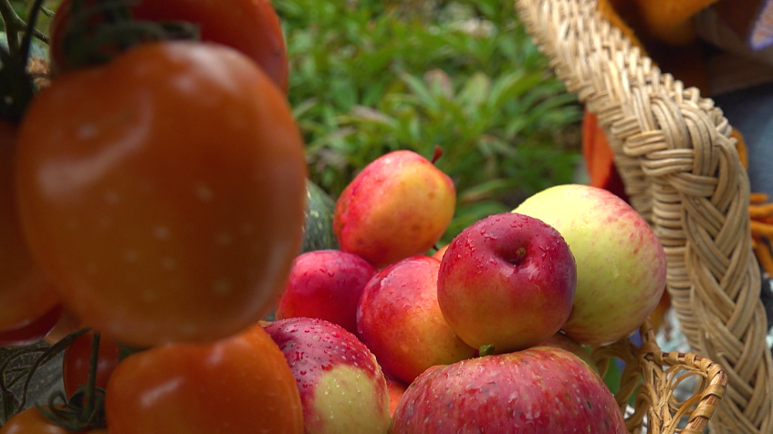 Стал известен победитель конкурса «Чудеса урожая»