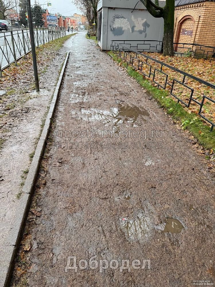 Тротуары в Истре в неудовлетворительном состоянии: «Идёшь как по грязному болоту»