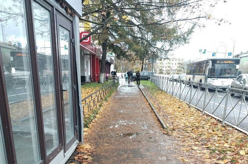 Почему листву убирают в парках и не убирают в городе?