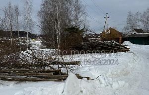 На улице Дзержинского в Павловской Слободе незаконно вырубили деревья