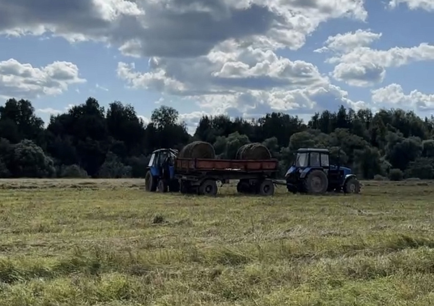 В Рождествено заканчивается сенокос