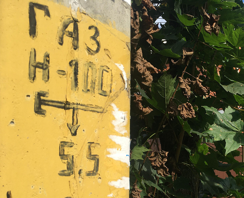 В Истре нашли почти 60 «ничейных» газопроводов 