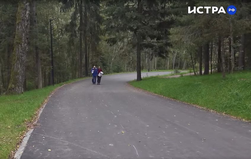 Открытие лесопарка «Соколка» перенесли