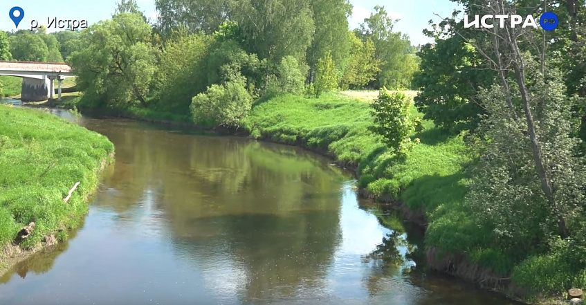 Финансирование санитарной расчистки реки Истры не запланировано