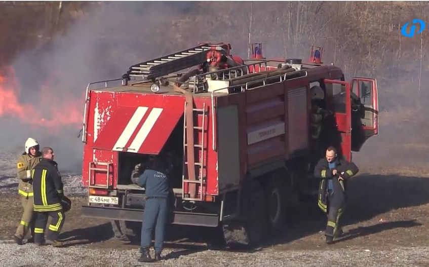 Два возгорания зафиксировали в Истринском лесничестве за сутки