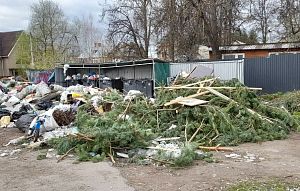 «Завалены мусором»: местные власти не справляются с вывозом отходов