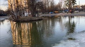 Дедовчане сообщают о массовой гибели рыбы в пруду у Георгиевского храма