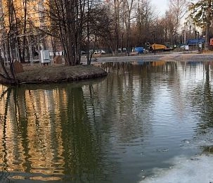 Массовую гибель рыбы в Георгиевском пруду Дедовска объяснили таянием снега