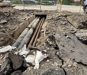 Стройконтроль с начала года совершил 39 выездов в Истру 