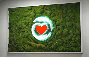 В Истре открылся новый хирургический стационар: пациентов будут оперировать московские врачи