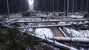 Комфортная пешеходная зона в Глебовском превратилась в испытательный трек