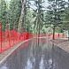 Лыжероллерной трассой парка «Соколиная гора» заинтересовались в полиции