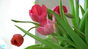 О чем мечтают женщины и какими их хотят видеть мужчины?