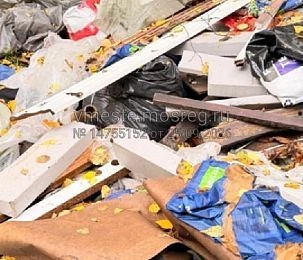 Лес у Лукино стал удобной свалкой