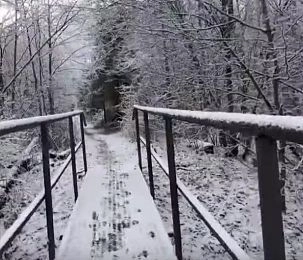 Прокуратура заинтересовалась пешеходным маршрутом до станции Ядрошино