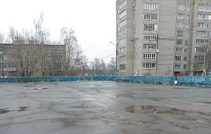 Попытка модернизировать хоккейную коробку в Истре потерпела неудачу