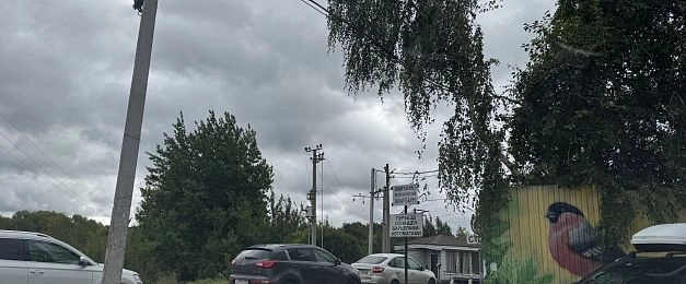 Дерево грозит упасть на железнодорожный переезд в Снегирях