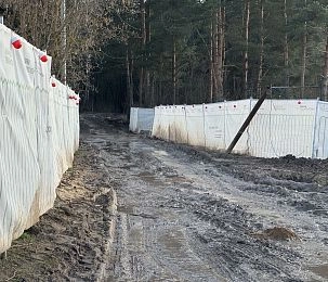 Дедовчане утопают в грязи на Массовке